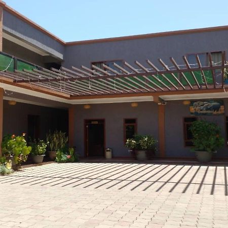 Lush Garden Business Hotel Arusza Zewnętrze zdjęcie